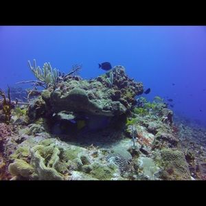 Meet your Posher, Brooklyn